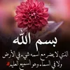 amira.rouh