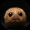 hailstorm_dev