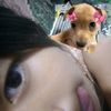 mayvx04y