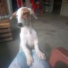 romina.c0nfo