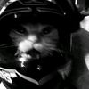 kelaaaa__12