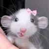 batata_sofia