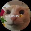 0088.tiktok1