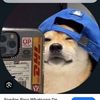 user5781725404510