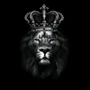 king_1981_