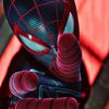 spiderdiox
