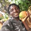 pape.lamin.mane