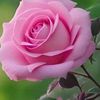 md.smile.ail