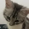 🍓