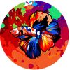 hypnosbetta