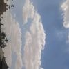 romamahmoud609