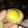 fikriapriliyan