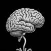 darkpsyche5