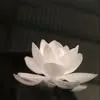 loi.inh4