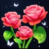 bnh.tnh.sng2609