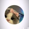 auliyaa_808