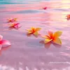 hala.mohamad290