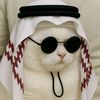 diyeskiee7