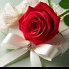 user6107063537028