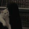 sara_raid3