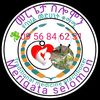 09 90 42 80 63 ጥበበ ሰሎሞን