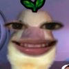zizaa645