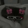 kitti_cat93
