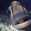 wigglywobblywigglywobbly