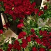 user88579049018856