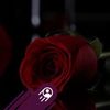 user7079500193854