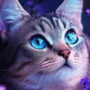 cat188167