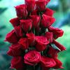 uzma.u.zma