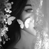 lovelyw.w