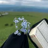 rahaf_23_5
