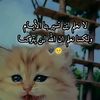 abiromaomar