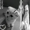 ggg.fyn_1