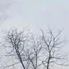 sami_psk11