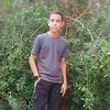 youssef.elemam2