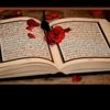user1335345156361