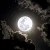 mzmr90