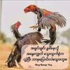 thantoeaung2571