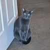 maria.cat.mom
