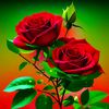 saberr9868