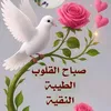 user4328223481815