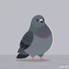 paloma.xd82