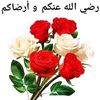 amel761976