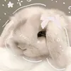 soft.juh0