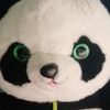 pandi03095