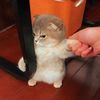 sara.badawy22