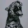 lion303640